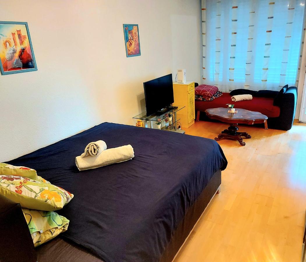Large Apartment Bern City Centre ภายนอก รูปภาพ